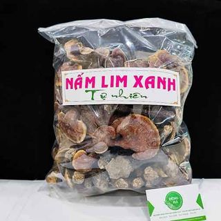 Nấm Lim Xanh
