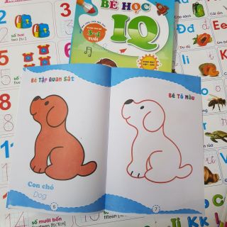 Túi 8 cuốn phát triển IQ dành cho bé 3-4 tuổi