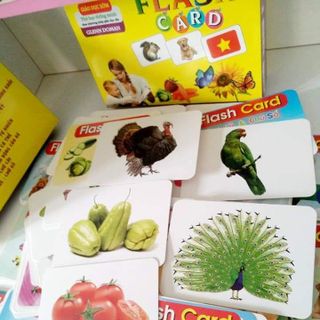 Bộ thẻ học thông minh loại to 19 chủ đề