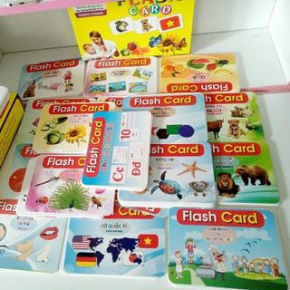 Bộ thẻ học thông minh loại to 19 chủ đề