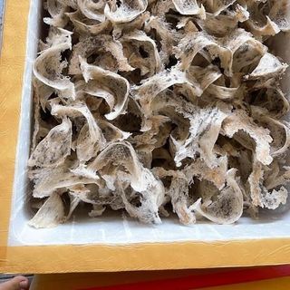 Yến thô loại 1 giá sỉ