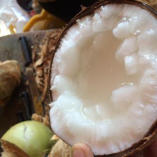 dừa sáp Trà Vinh