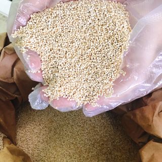 Hạt Diêm Mạch (Quinoa) Trắng hữu cơ - Nhập khẩu trực tiếp từ Peru bao 25kgs