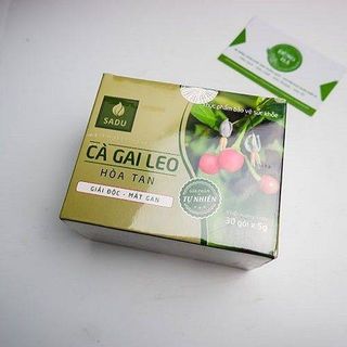 Cà gai leo đủ bộ