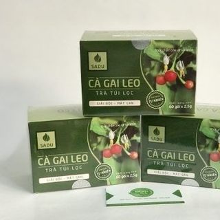 Cà gai leo đủ bộ