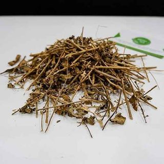 Cà gai leo đủ bộ