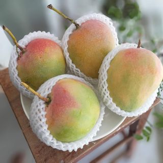 xoài Úc