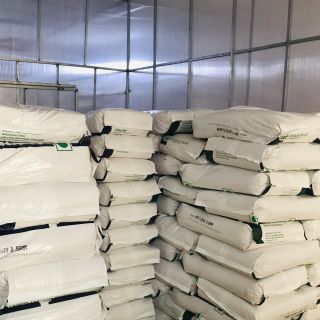 YẾN MẠCH ÚC GIÁ SỈ