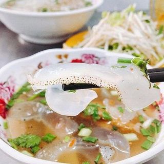 Sứa Hộp Tĩnh Gia