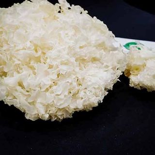 Nấm tuyết khô