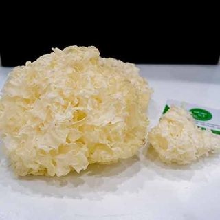 Nấm tuyết khô