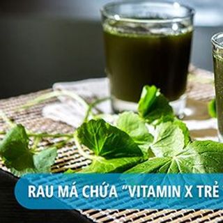 Rau má khô