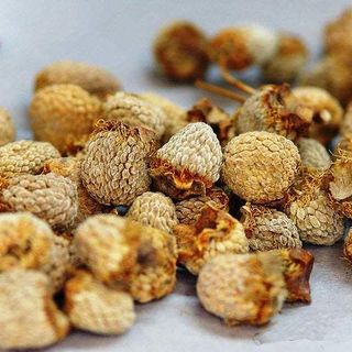 Phúc bồn tử (Quả mâm xôi)