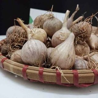 Tỏi cô đơn