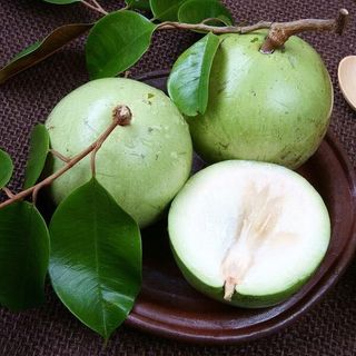 Vú sữa Lò Rèn