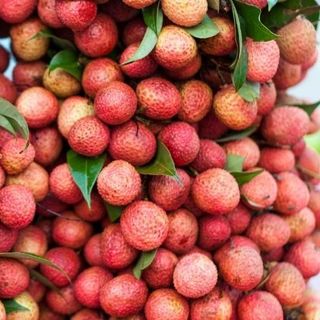 Vải thiều