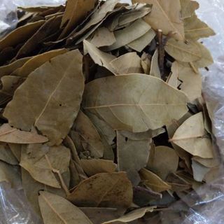 Lá nguyệt quế khô (Lá Bay Leaf)