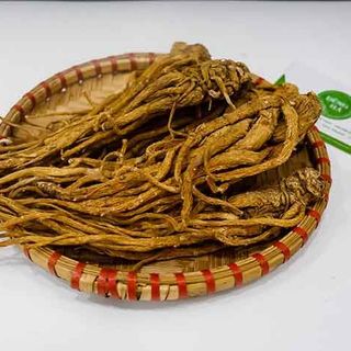 Đương quy khô - tươi