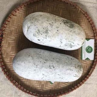 Bí Phấn Bắc Kạn - Bí Thơm
