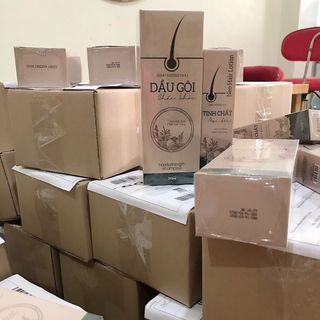 Dầu Gội Đinh Hương Nhu