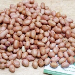 Lạc nhân trắng - Đậu phộng trắng