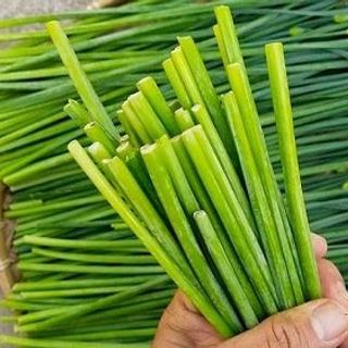 Bông hẹ xanh