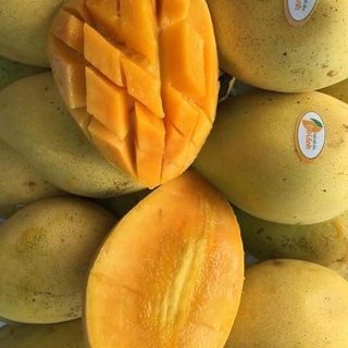 xoài cát Chu Cao Lãnh