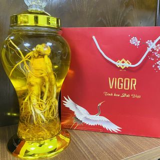Đông Trùng Hạ Thảo Nhân Sâm bình 3 lít giá sỉ