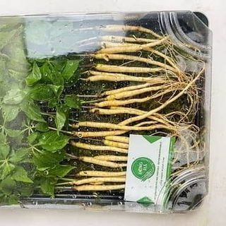 Củ nhân sâm tươi Hàn Quốc