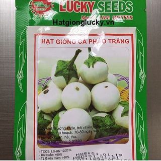 Hạt giống cà pháo trắng, cà pháo tím