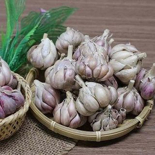 Tỏi khô