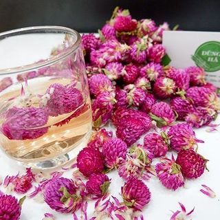 Trà Hoa Bách Nhật Sấy Khô