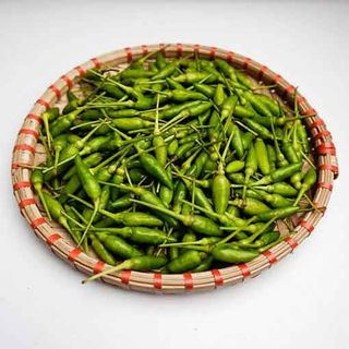 Ớt xiêm xanh - ớt hiểm xanh
