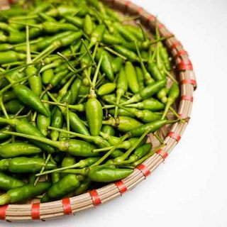 Ớt xiêm xanh - ớt hiểm xanh