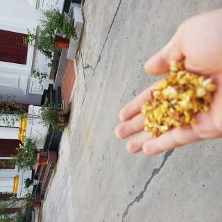 Hoa nhài khô 40K/1kg