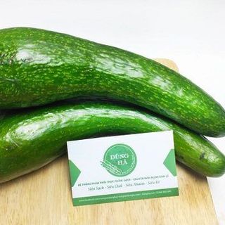 Bơ Sáp Đắc Lắc: Bơ 034, Bơ booth, Bơ sáp Long Khánh, Bơ Trịnh Mười