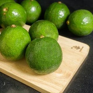 Bơ Sáp Đắc Lắc: Bơ 034, Bơ booth, Bơ sáp Long Khánh, Bơ Trịnh Mười