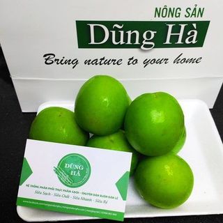 táo gió Ninh Thuận