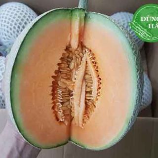 Dưa lưới Taka - Taki - One - Melon