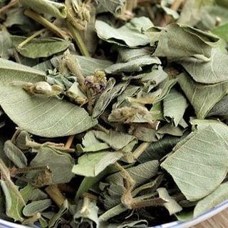 Kim tiền thảo khô
