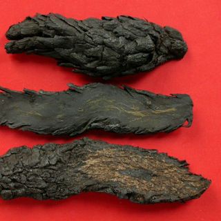 Nhục Thung Dung