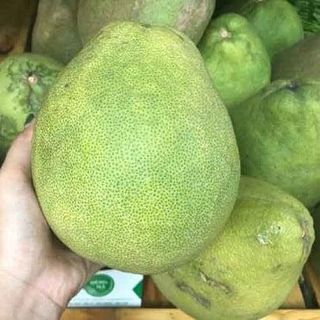bưởi năm roi