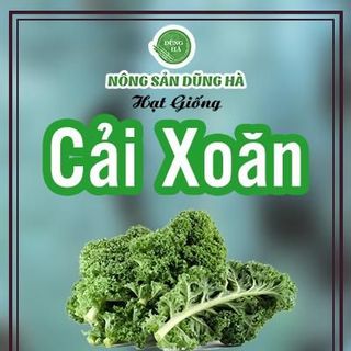 Hạt giống cải xoăn kale