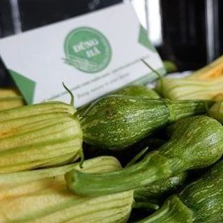 Bí ngô bao tử - Nụ Bí Đà Lạt