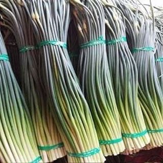 Ngồng tỏi