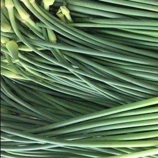 Ngồng tỏi
