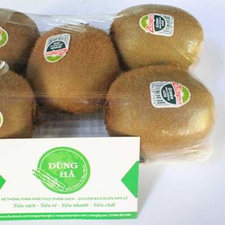 kiwi xanh giá sỉ