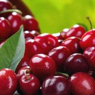 cherry nhập khẩu
