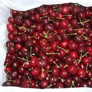 cherry nhập khẩu