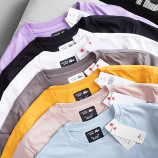 áo thun nam cá sấu cotton 2 chiều form , hot